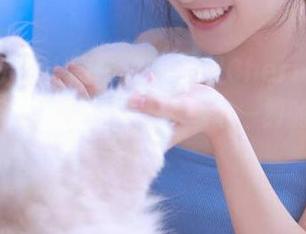 Xiuren秀人网 – 及时获取CherryBlessU女王新图包更新，珍藏每一刻的时尚风采！