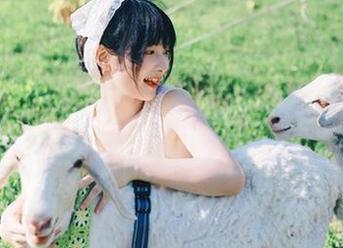 独特视角下的“幼爱youmeko黑丝眼镜”作品,尽享美图与壁纸的盛宴