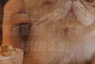 微密圈 – 在“葱油饼er”的黑历史中寻找欲望:“黑丝漆皮”图片下载,绝对不可错过的诱惑!