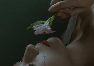 袜小喵推出的花姑娘美图图集，瞬间带你进入浪漫的花园，感受春天的气息，别错过哦！